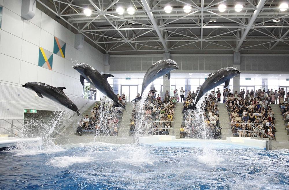 鹿児島ワシントンホテルプラザ 鹿児島市 エクステリア 写真